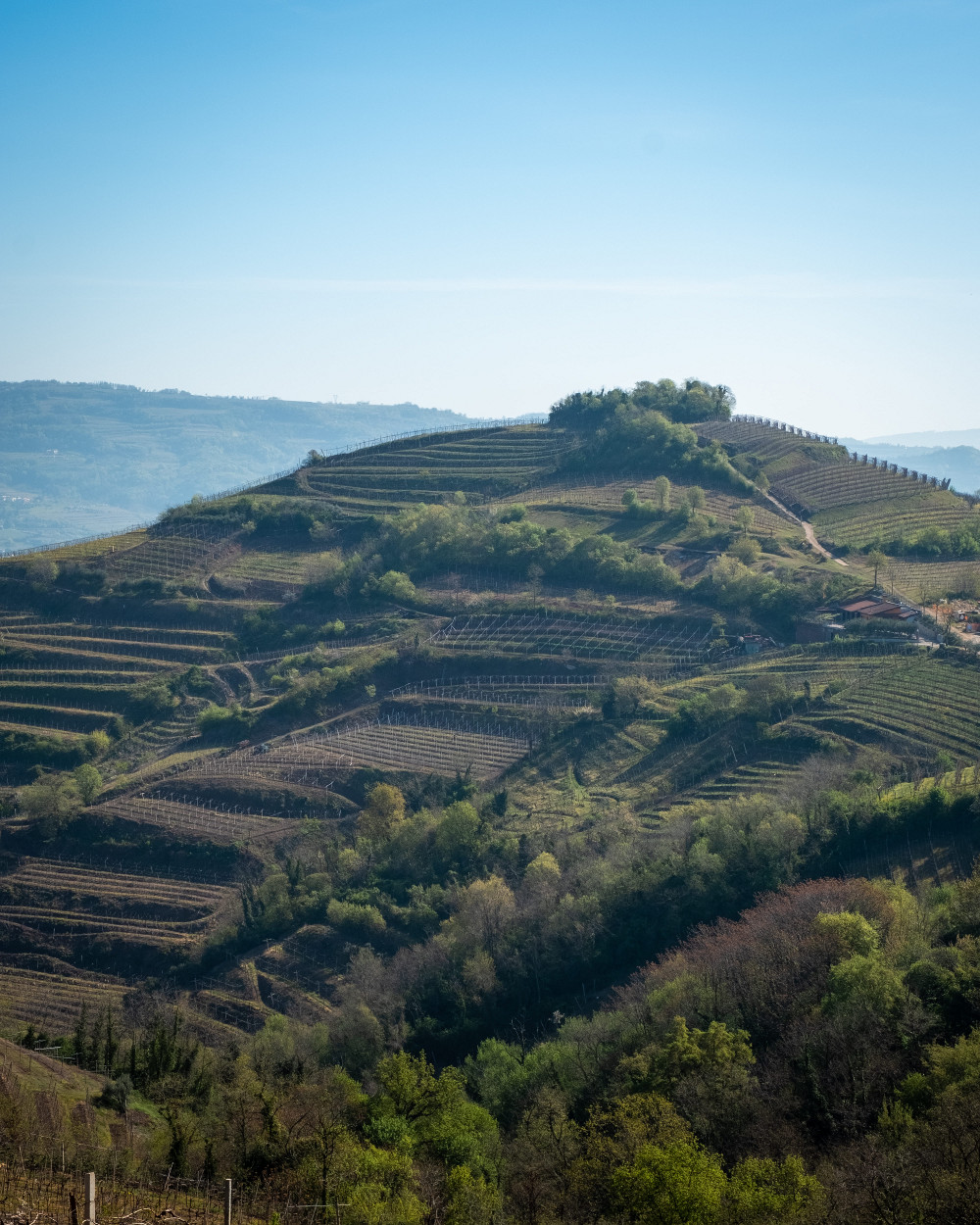 Soave Classico Soave Classico